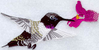 Male Black-Chinned Hummingbird W/Flower