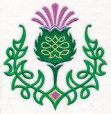 Celtic Knot Thistle