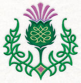Celtic Knot Thistle