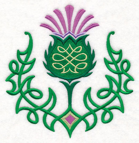 Celtic Knot Thistle