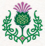 Celtic Knot Thistle