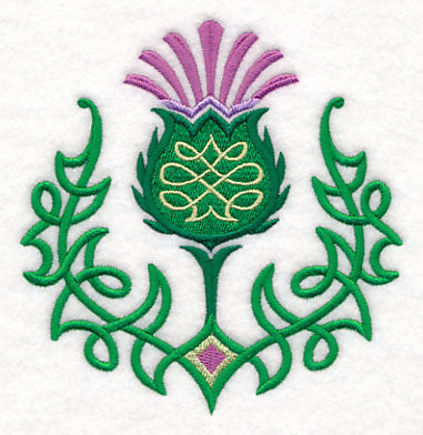 Celtic Knot Thistle