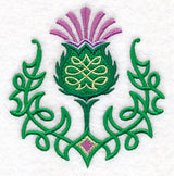 Celtic Knot Thistle