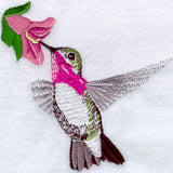 Male Calliope Hummingbird W/Flower