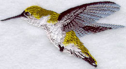 Female Ruby Throated Hummingbird