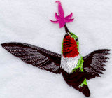 Broad Tailed Male Hummingbird