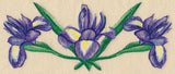 Iris Border in Watercolor