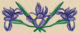 Iris Border in Watercolor
