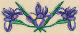 Iris Border in Watercolor