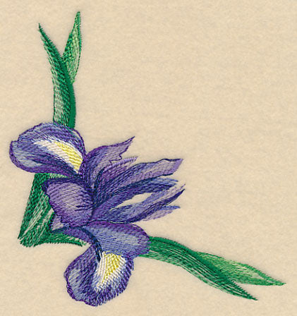 Iris Corner in Watercolor