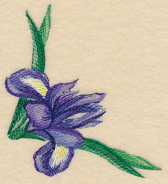 Iris Corner in Watercolor