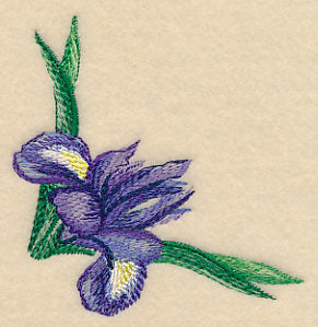 Iris Corner in Watercolor