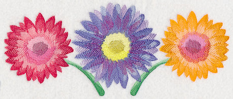 Daisy Border in Watercolor