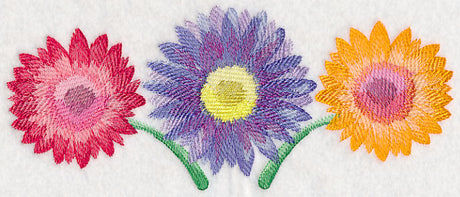 Daisy Border in Watercolor