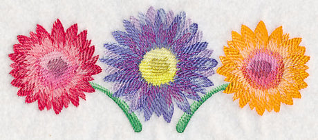 Daisy Border in Watercolor