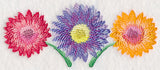 Daisy Border in Watercolor