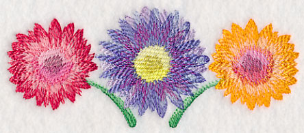 Daisy Border in Watercolor