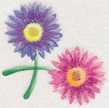 Daisy Corner in Watercolor