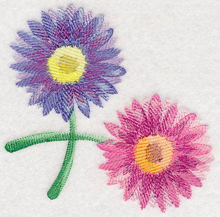 Daisy Corner in Watercolor