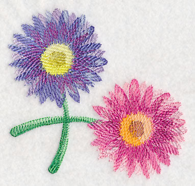 Daisy Corner in Watercolor