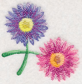 Daisy Corner in Watercolor