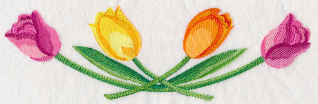 Tulip Border in Watercolor