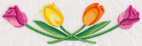 Tulip Border in Watercolor