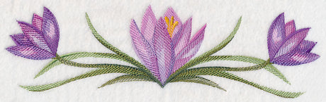 Crocus Border in Watercolor