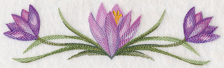 Crocus Border in Watercolor