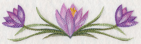 Crocus Border in Watercolor