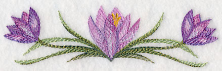 Crocus Border in Watercolor