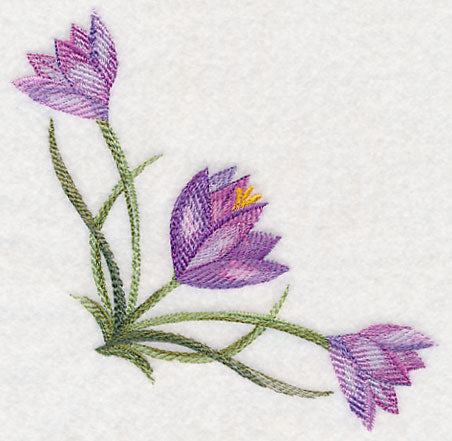 Crocus Corner in Watercolor