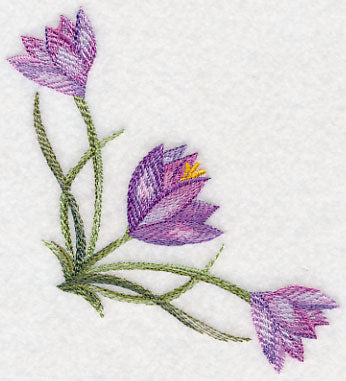 Crocus Corner in Watercolor