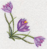 Crocus Corner in Watercolor