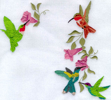 Four Hummingbirds