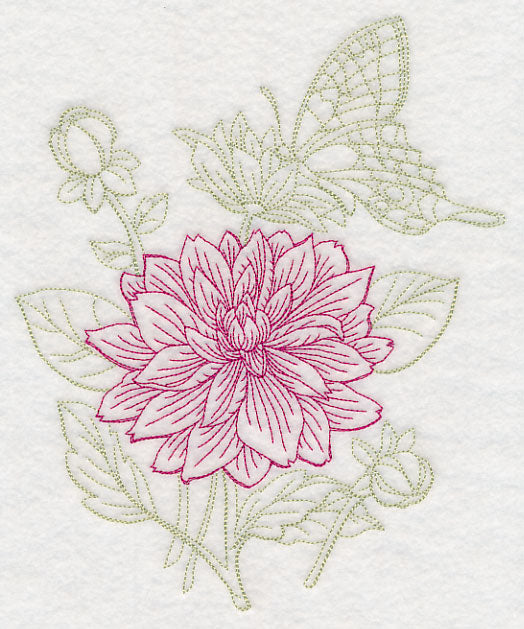 Garden Dahlia Etching