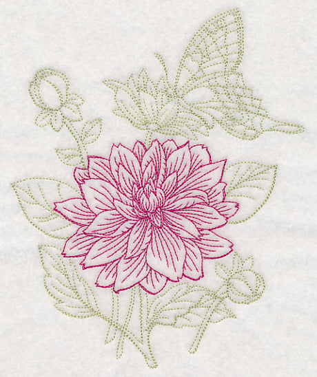 Garden Dahlia Etching