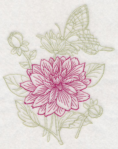 Garden Dahlia Etching