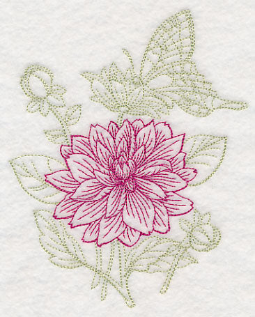 Garden Dahlia Etching