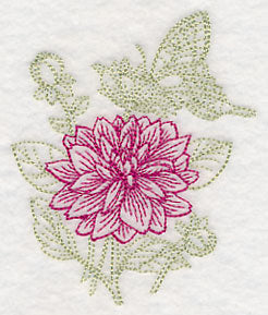 Garden Dahlia Etching