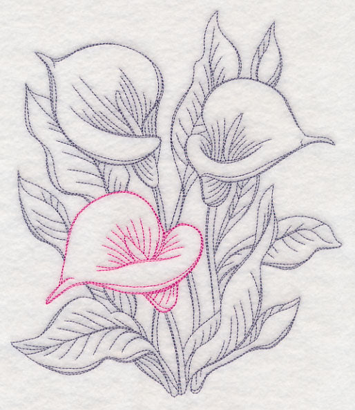 Garden Calla Lily Etching