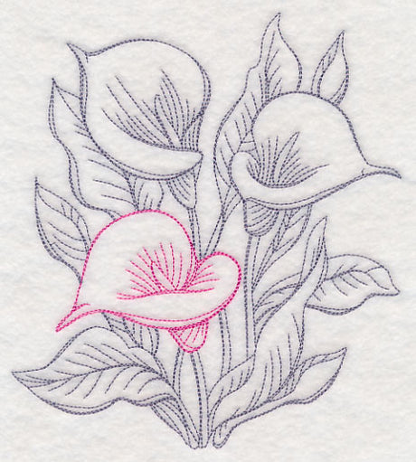 Garden Calla Lily Etching