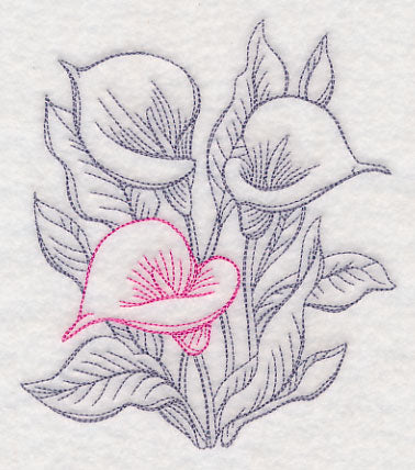 Garden Calla Lily Etching