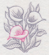 Garden Calla Lily Etching