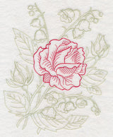 Garden Rose Etching