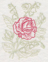 Garden Rose Etching