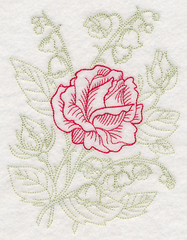 Garden Rose Etching