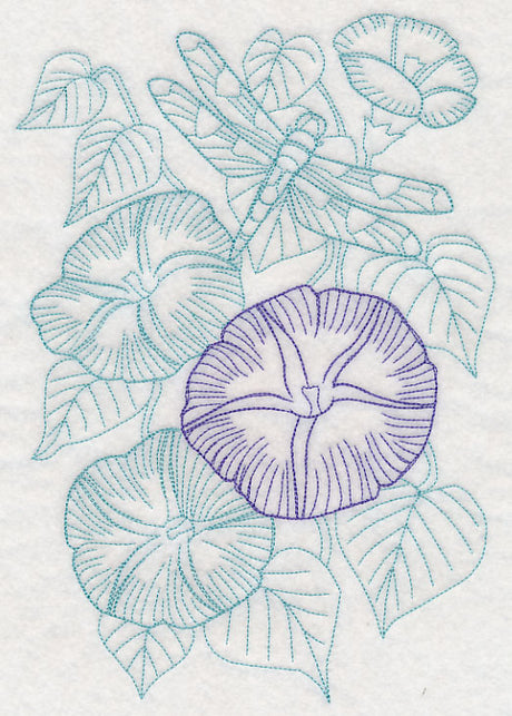 Garden Morning Glory Etching