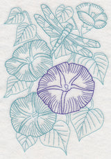 Garden Morning Glory Etching