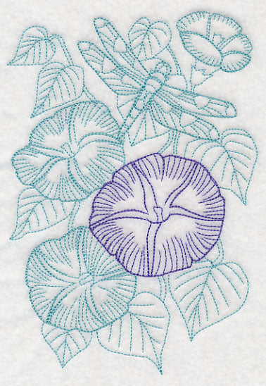 Garden Morning Glory Etching
